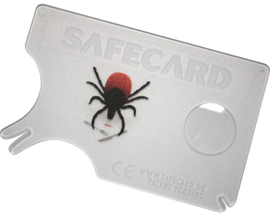 SafeCard -punkinpoistokortti punkki lounaalla -kuvalla