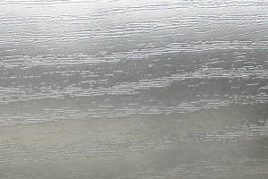 Puukuvioinen laminaatti